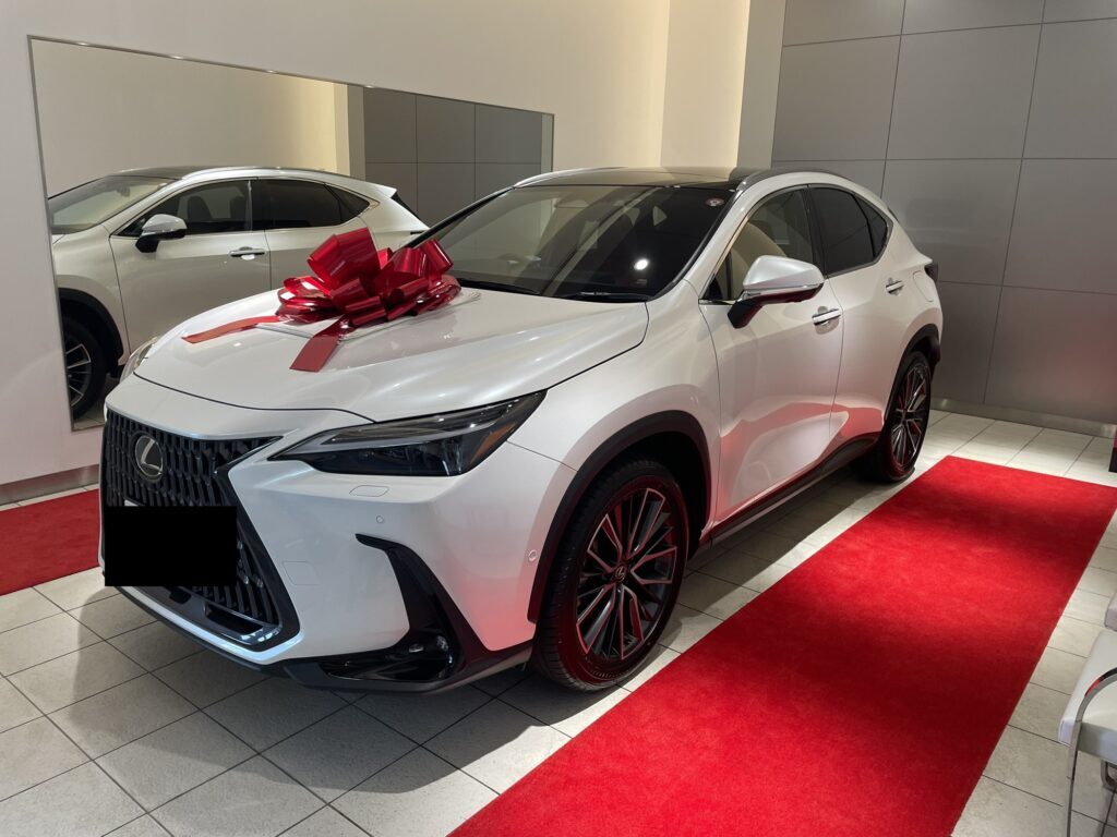 nx-e7b48de8bb8a-1024x768-1381721