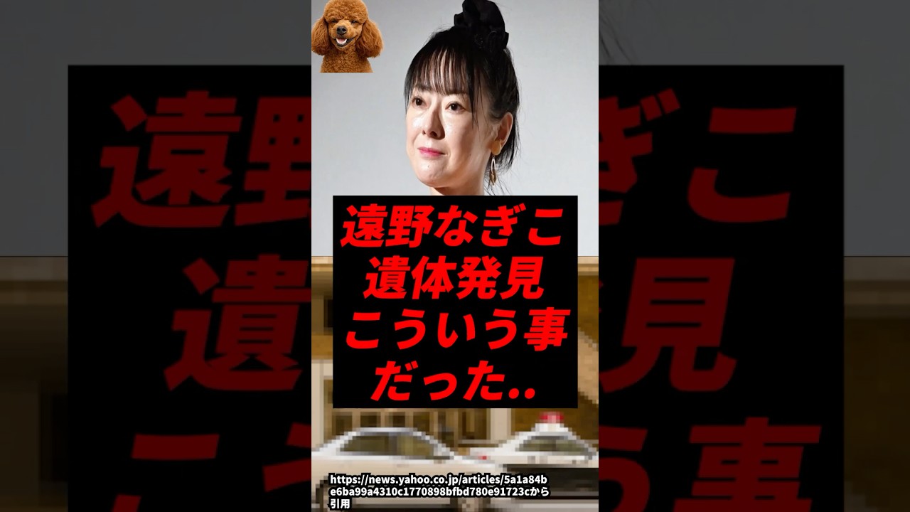 1775648515_maxresdefault-3495189-5305216-jpg