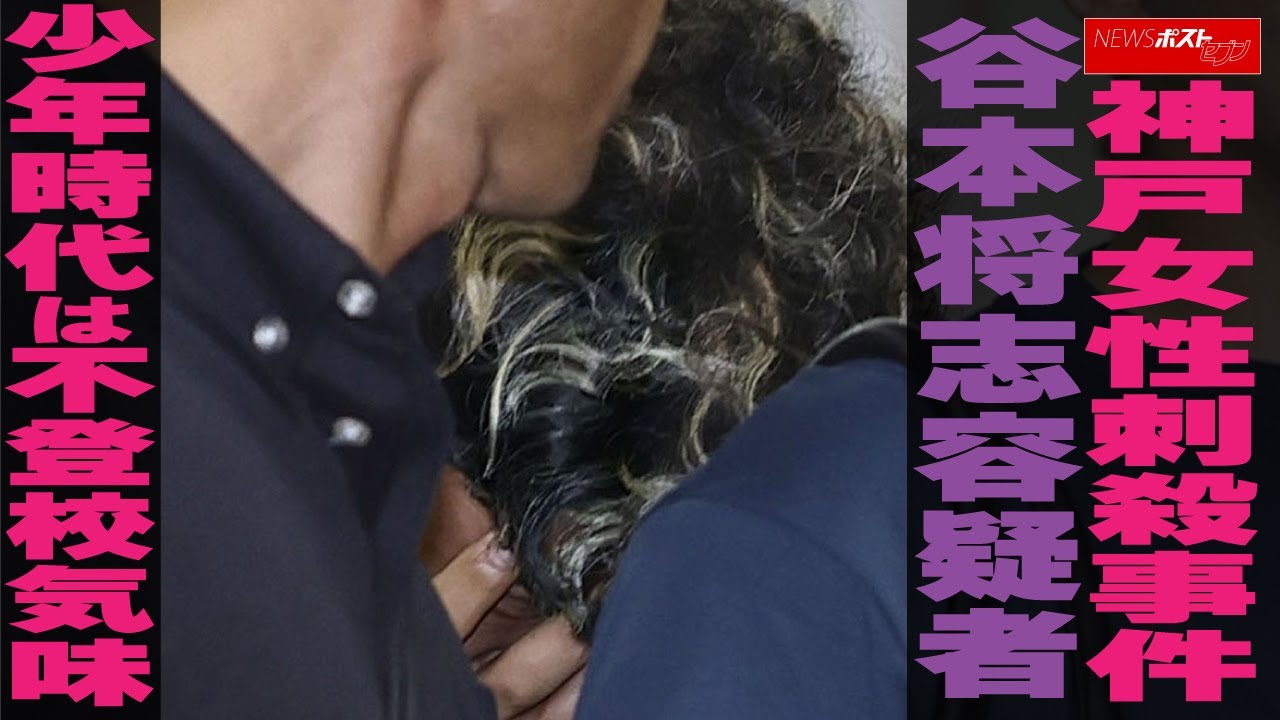 1775879981_maxresdefault-8572573-9294026-jpg