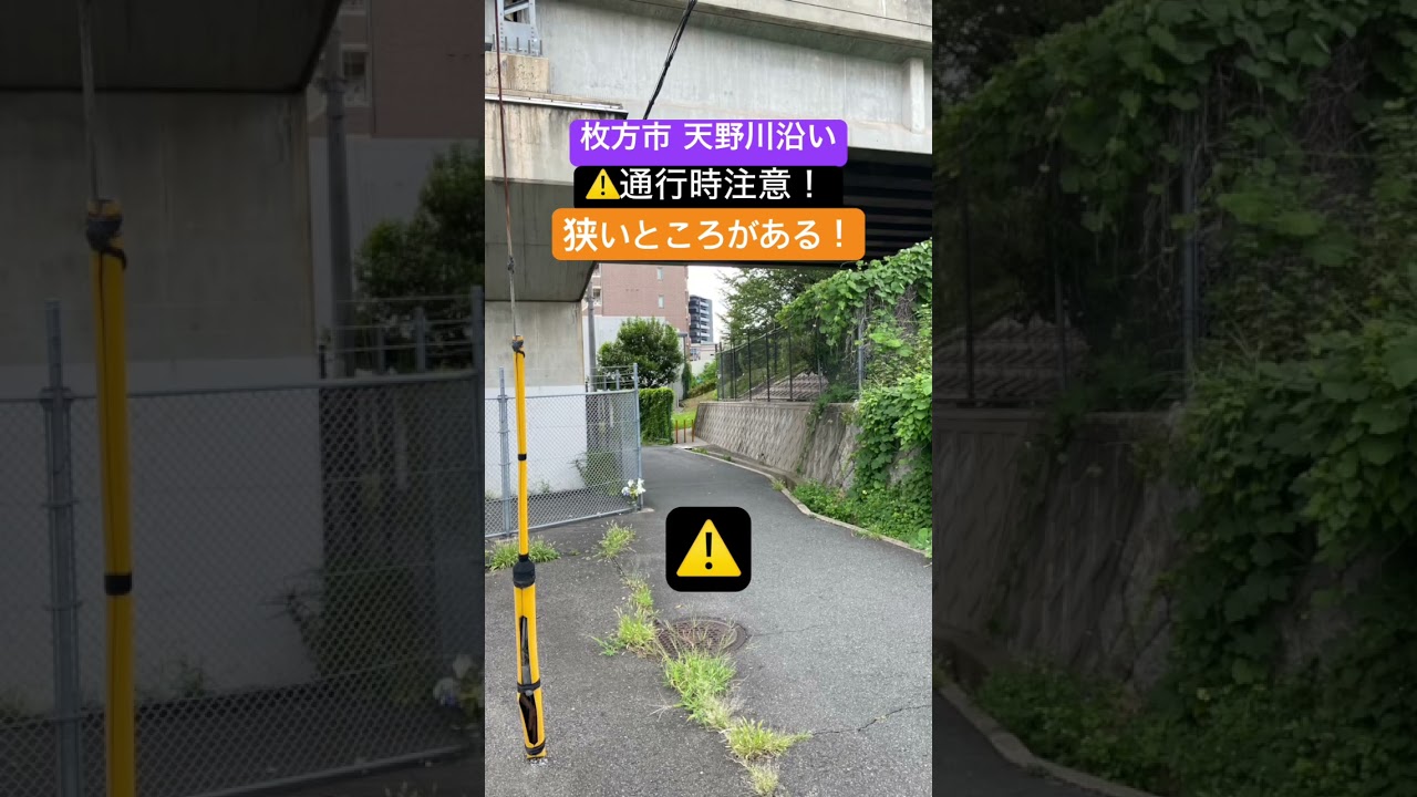 1787152890_maxresdefault-7336486-6340594-jpg