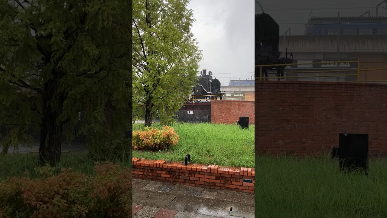 1788713668_maxresdefault-1320528-2412839-jpg